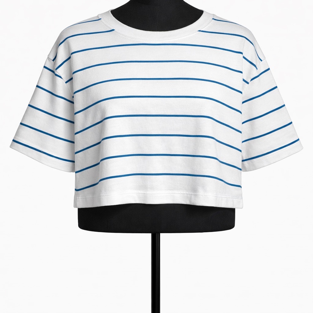 Aritzia White Cropped Tee with Blue Stripes